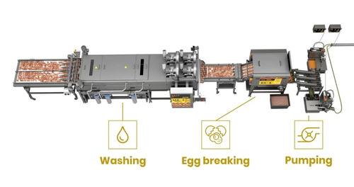 Egg processing line for whites & yolks separation OVOTECH