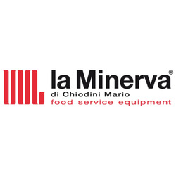 MINERVA